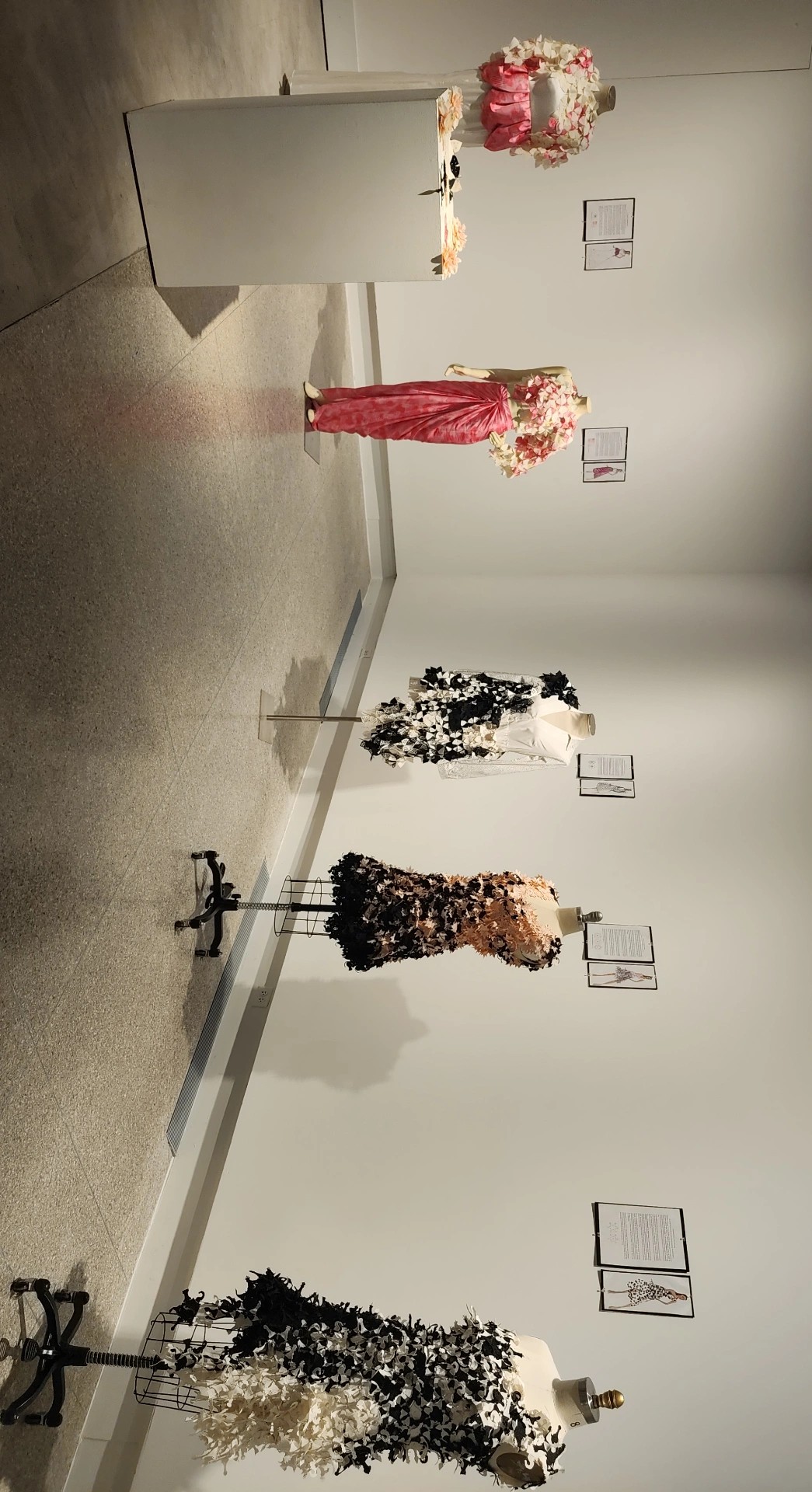 MFA exhibition â€” image 5